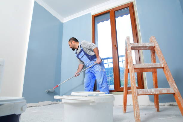Best Forensic Mold Investigation  in Paris, TX