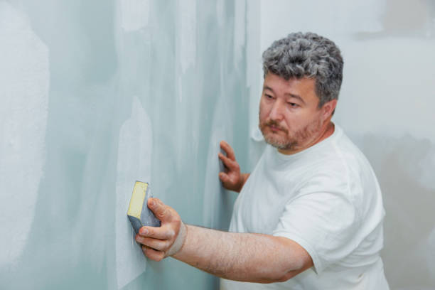 Best Mold Remediation for Healthcare Facilities  in Paris, TX