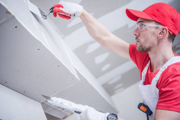 Best Post-Construction Mold Inspection  in Paris, TX